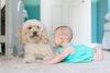 Gold Star Carpet Cleaning & Upholstery