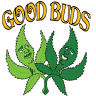 Good Buds LLC