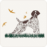 Good Dog Veterinary Care