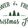Gower Fresh Christmas Trees Farm