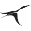 Gray Loon Marketing Group Inc