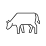 Graze Burgers