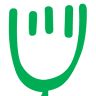 The Green Fork