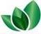 Green Forwarding