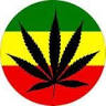 NY Marijuana Card: Medical Marijuana Card in New York