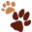 Friendly Animal Clinic: Tina Becker DVM