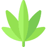 Greenstar Cannabis - Willow Point