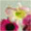 Green Thumbs Galore LLC