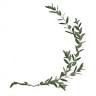 Green Thyme Workshop
