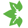 Greentime CBD
