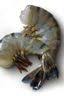 Green Zone Seafood LLC.