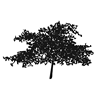 GREYWOOD