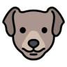 Grooming Salon Ltd