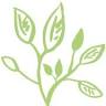 Grow Early Education Bundaberg North