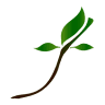 Growth Agriculture