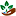 FLORESTA DE MANDURI