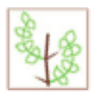 Gujarat Institute Of Desert Ecology