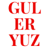 Guleryuz Tuhafiye Elektronik ve Tic. Ltd. Sti