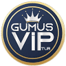 Gümüş Vip Tur Organizasyon