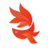 Guppy Nhật Minh