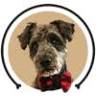 Gussied Up Pet Boutique