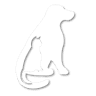 Gainesville Veterinary Hospital