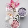 Hafan Halen