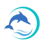 Ha Long Dolphin Travel