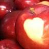 Hamilton Family Orchards