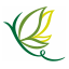 HANAZONO