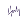 Handy Professional Services
