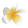 Happyflora
