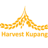 Harvest Kupang