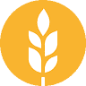 Harvest Stand Ministries
