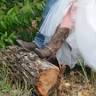 Hatchet Ranch Events & Weddings