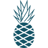 Hawaiian Bros Island Grill