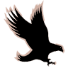 Hawkeye Electronic Security Ltd