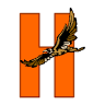 Hayfield SS Library