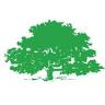 Healey Tree Works LLC
