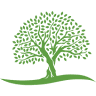 The Healing Oak - Health and Wellness