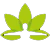 HEALTH CBD
