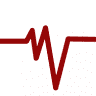 Health Coaches Inc