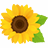 Himawari Pharmacy