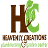 Heavenly Creations Greenhouse