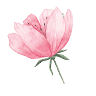 Tiệm Hoa Hello Flowers_Với anh em thật sự là người rất trân trọng. Yêu em HELLO FLOWERS
