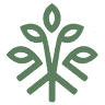 HempyRoots - CBD Porto