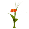 Floristería Herboflor