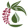薬草研究所 HERBS