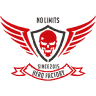 Hero Factory No Limits