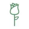 Herons Rest Roses